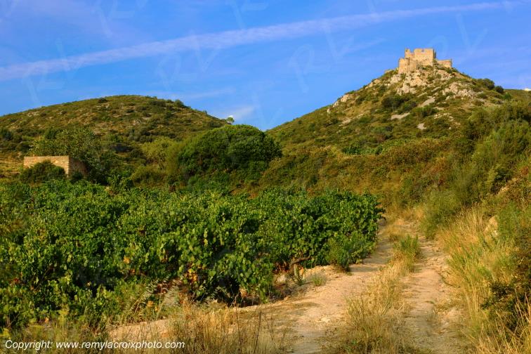Ch�teau Cathare d'Aguilar vignoble du Haut-Fitou Corbi�res Aude France