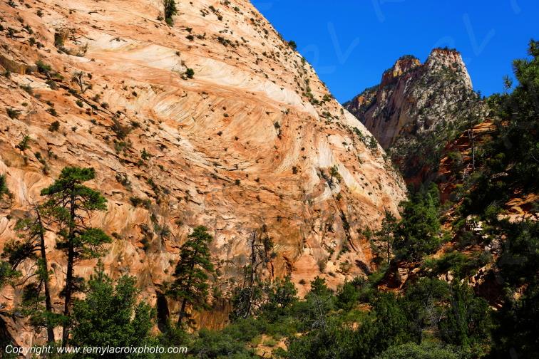 Mount Carmel Highway Zion National Park Utah USA