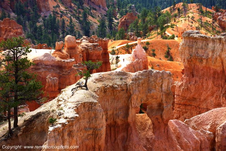 Sunrise Point Bryce Canyon National Park Utah USA