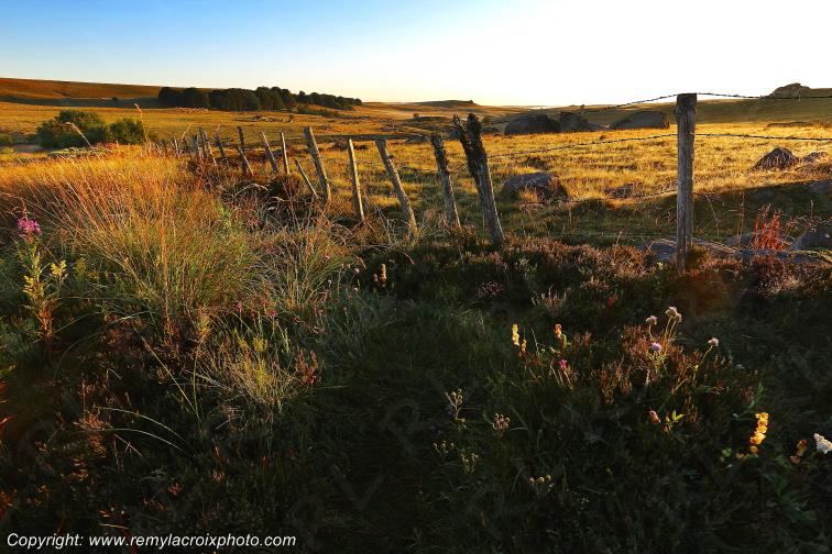 Col de Bonnecombe Aubrac Loz�re Languedoc-Roussillon Occitanie France www.remylacroixphoto.com
