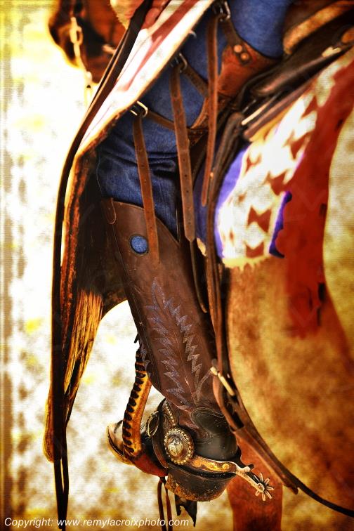 Rodeo Cheyenne Frontier Days Wyoming USA www.remylacroixphoto.com