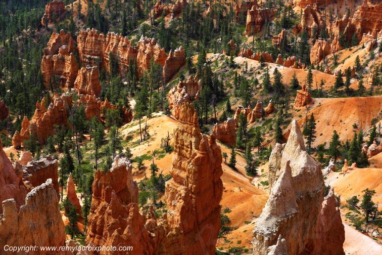 Sunrise Point Bryce Canyon National Park Utah USA