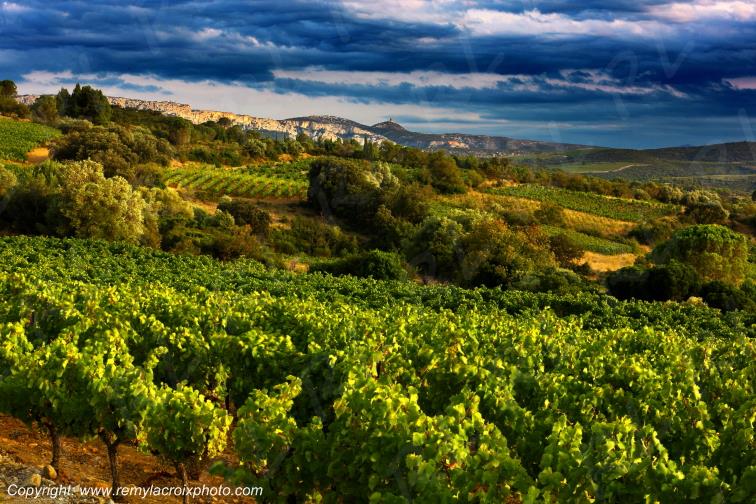 La Tour del Far vignoble du Haut Fitou Corbi�res Aude France
