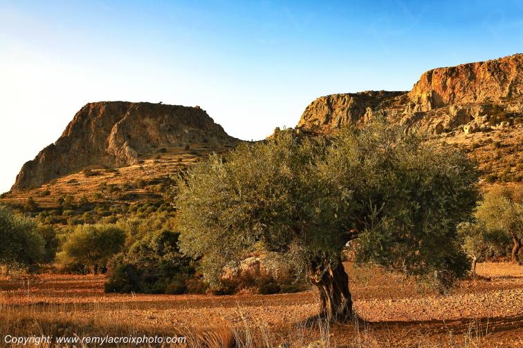 Plitra P�loponn�se Gr�ce Peloponnese Greece www.remylacroixphoto.com