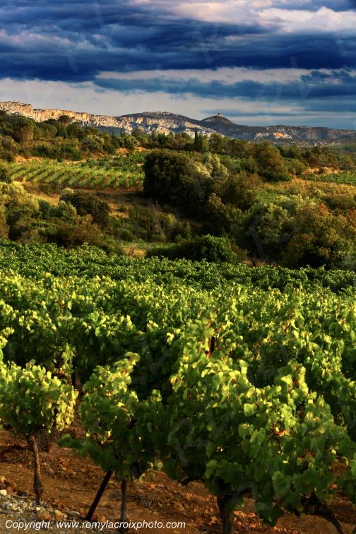 La Tour del Far vignoble du Haut Fitou Corbi�res Aude France