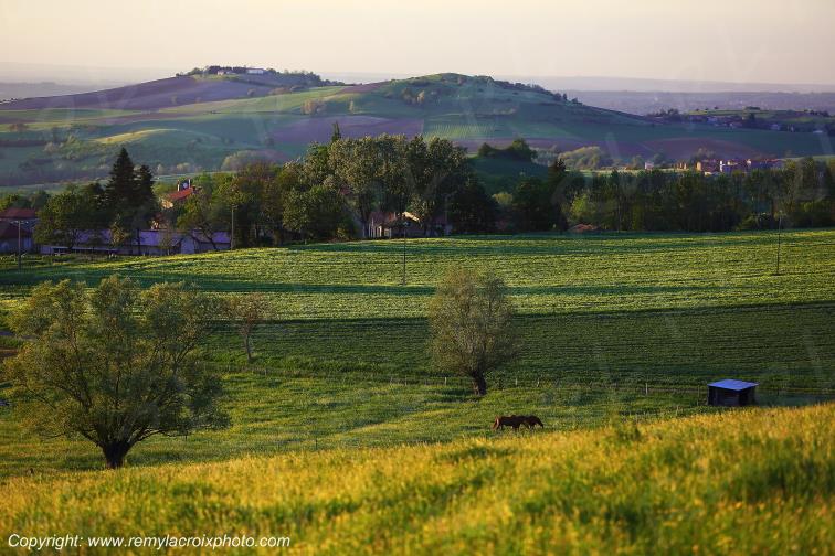 Billom Puy de D�me Auvergne Rh�ne-Alpes France www.remylacroixphoto.com