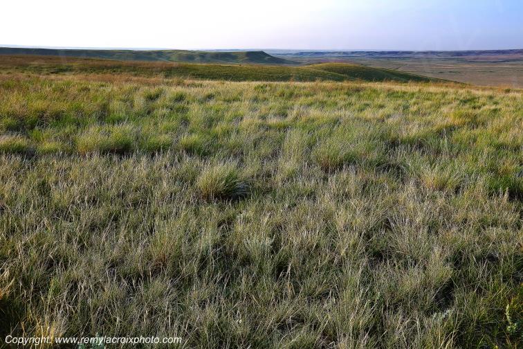 Grasslands National Park West Great Plains Grandes Plaines Saskatchewan Canada www.remylacroixphoto.com
