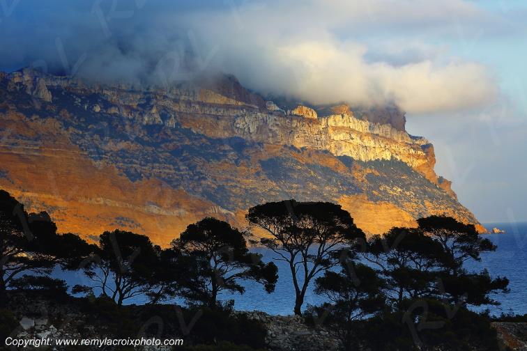 Calanque de Port-Pin Cap Canaille Cassis Bouches du Rh�ne Provence Alpes C�te d'Azur France www.remylacroixphoto.com